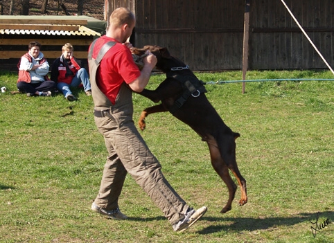 Arlington Skay Verstenwal - training 26. 3. 2007